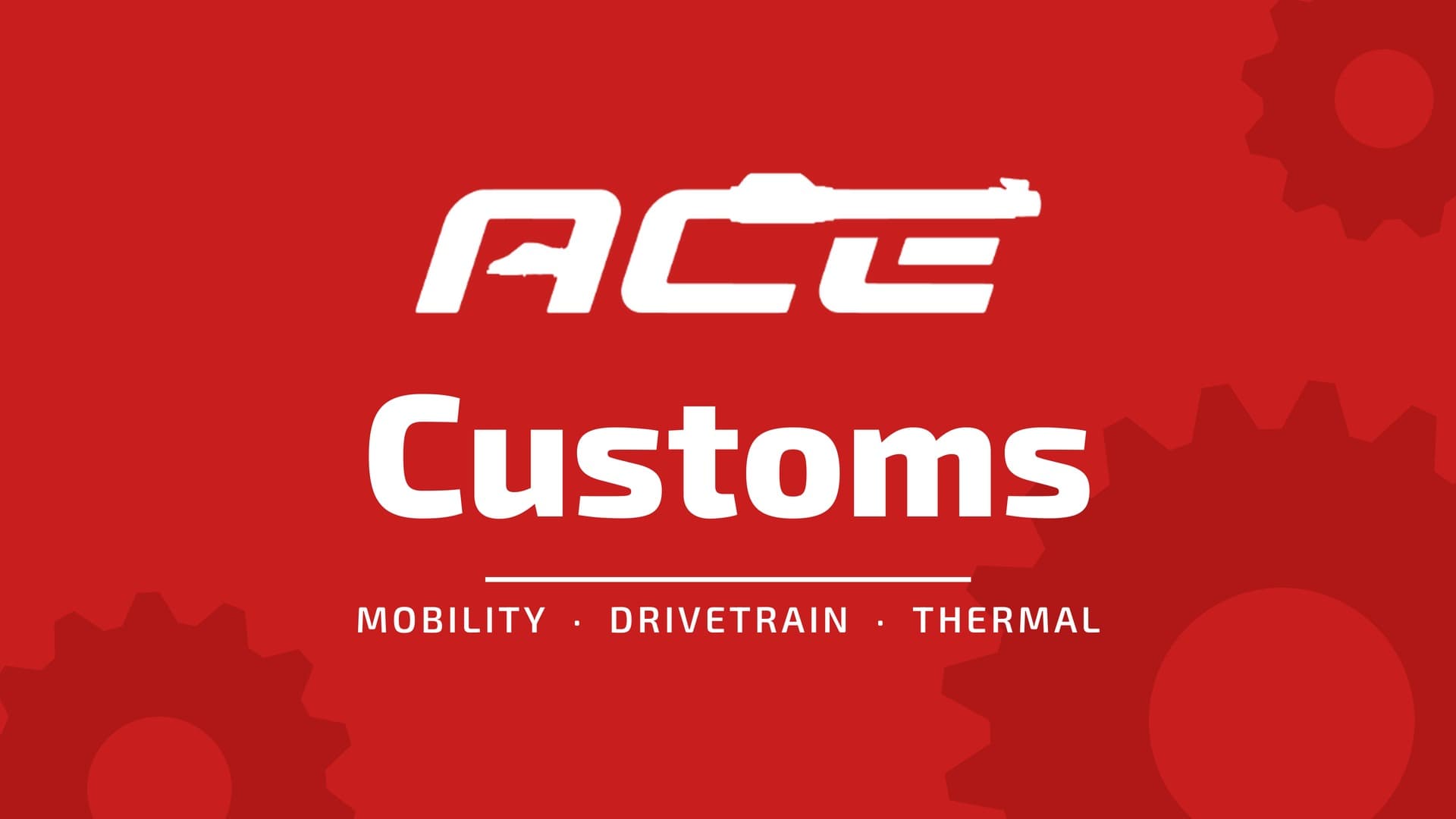 ACE Customs